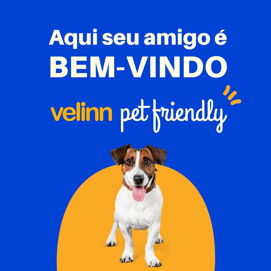 gestão de mídias sociais - rede velinn - pixelz